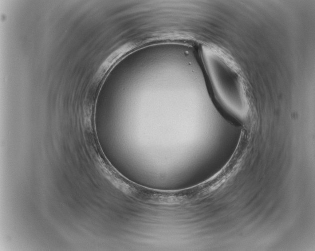 X0000087591273200705041500