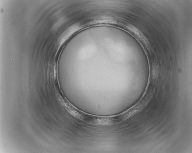 X0000087591274200705041500