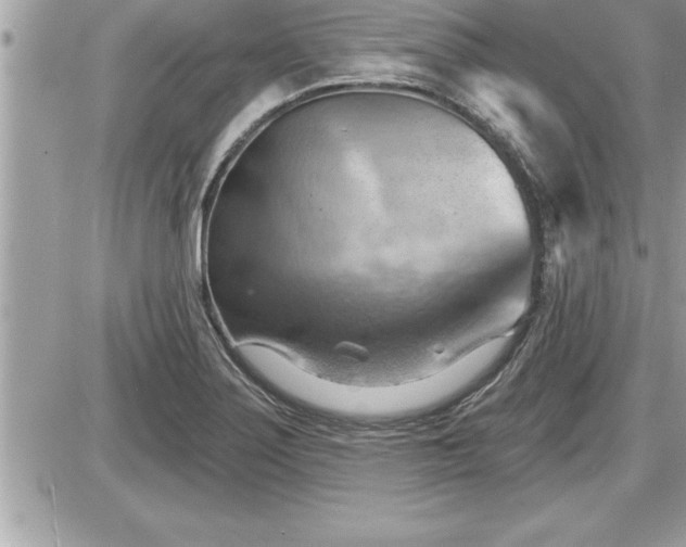 X0000087591275200705041500