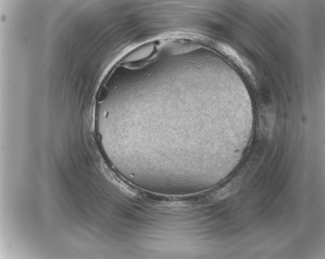 X0000087591276200705041500