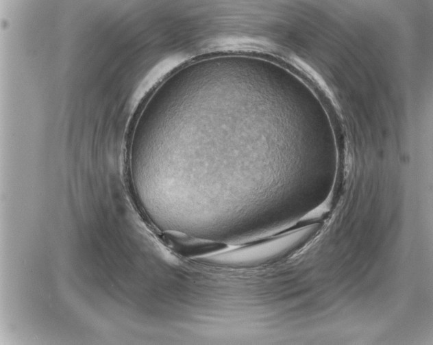 X0000087591277200705041500