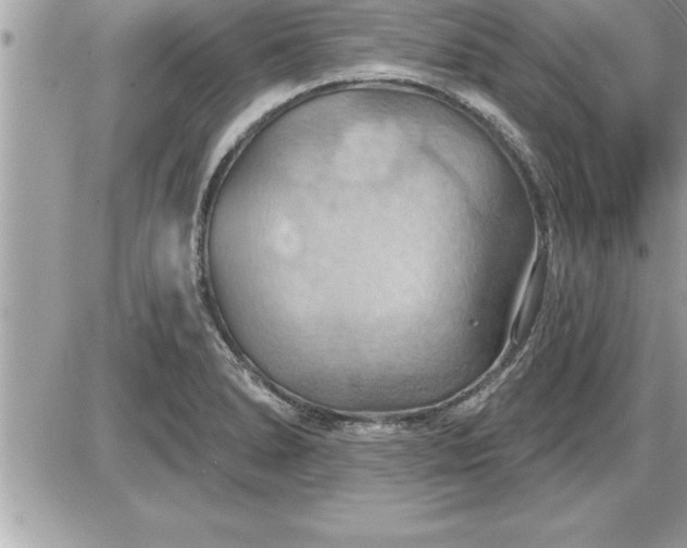 X0000087591278200705041500