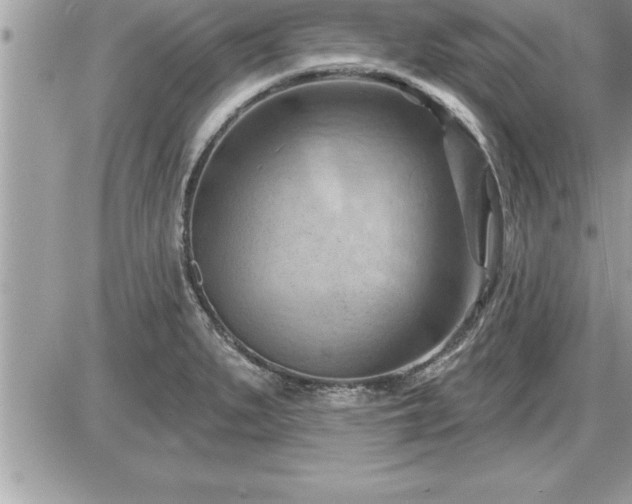 X0000087591279200705041500