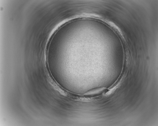 X0000087591280200705041500