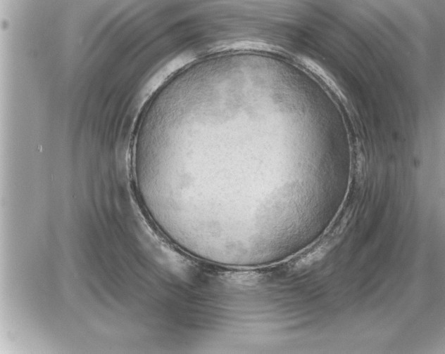 X0000087591282200705041500