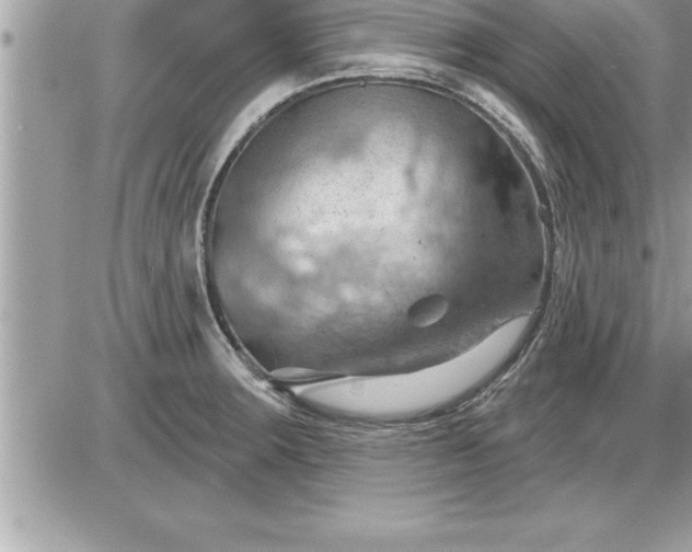 X0000087591283200705041500