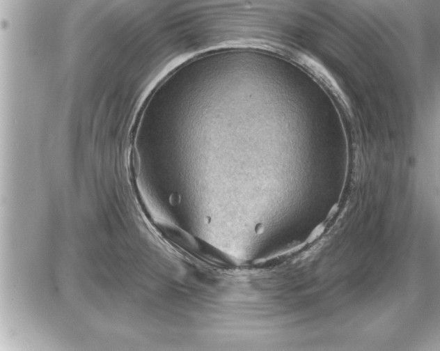 X0000087591284200705041500