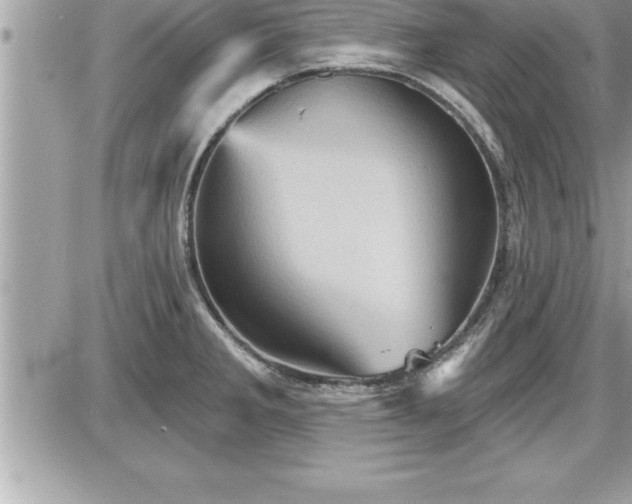 X0000087591285200705041459