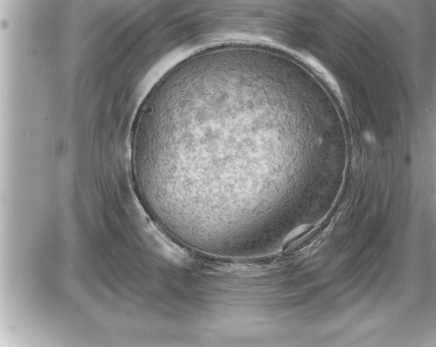 X0000087591287200705041459