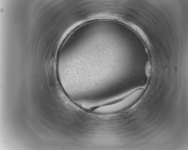 X0000087591288200705041459