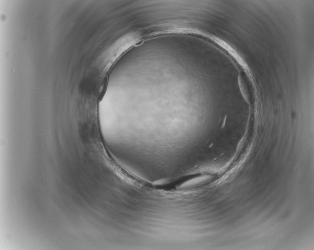 X0000087591289200705041459