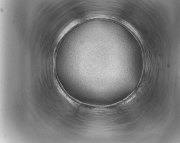 X0000087591290200705041459