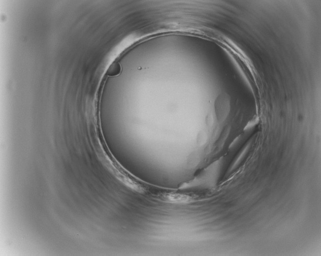 X0000087591291200705041459