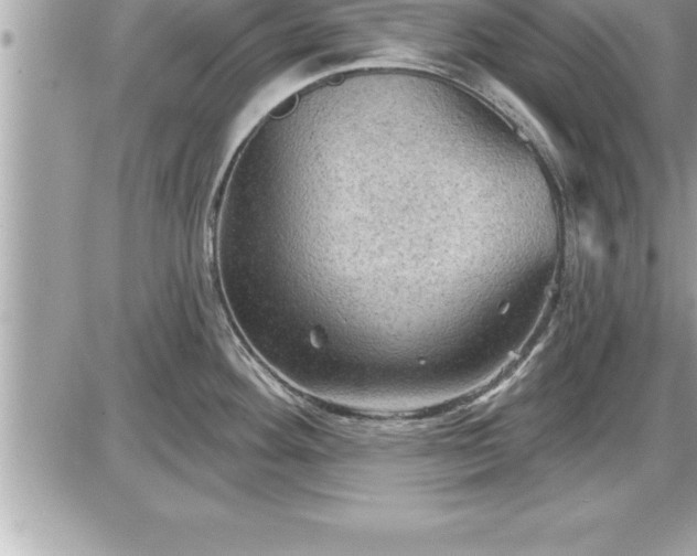 X0000087591292200705041459