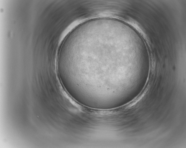 X0000087591294200705041459