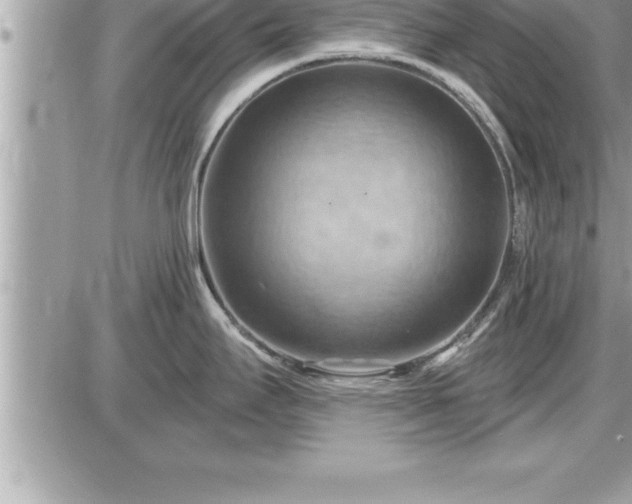 X0000087591295200705041459