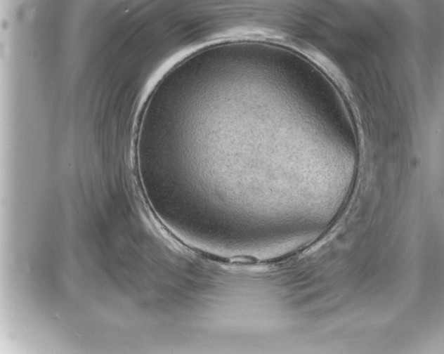 X0000087591296200705041459