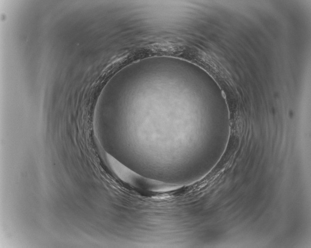 X0000087591297200705041459