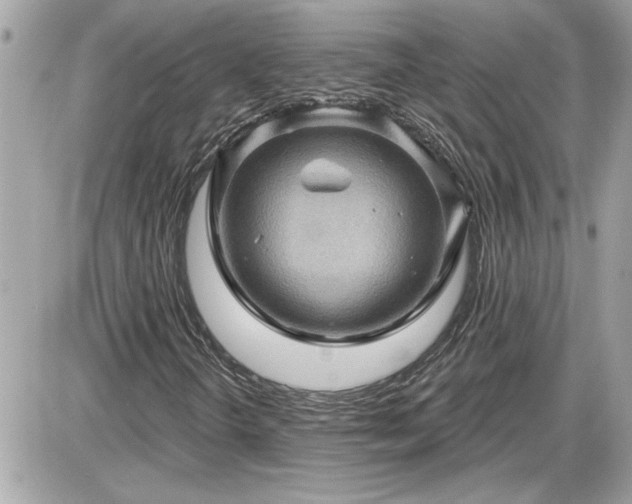 X0000087591298200705041459