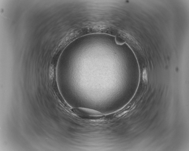 X0000087591299200705041459