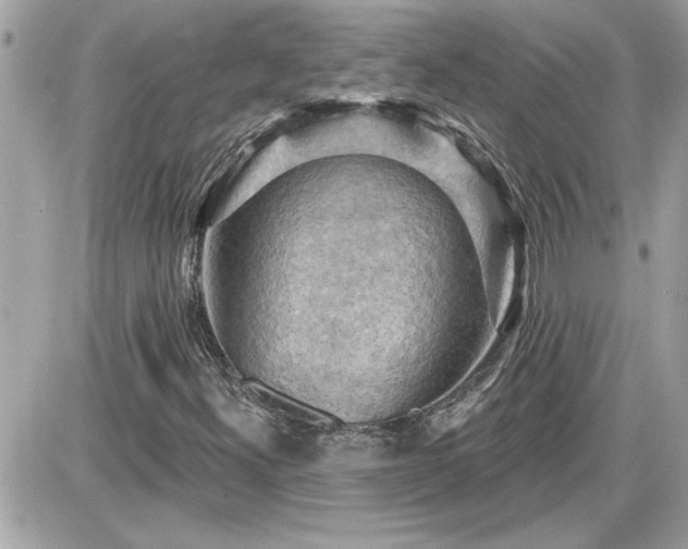 X0000087591300200705041459