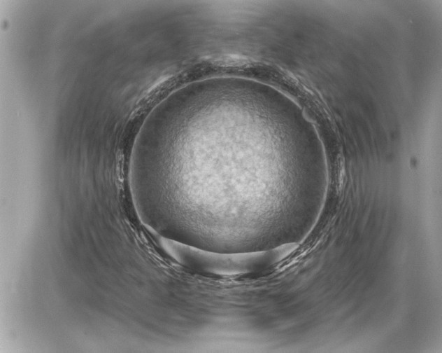 X0000087591301200705041459