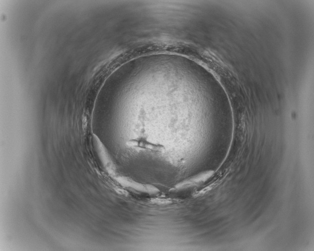 X0000087591302200705041459