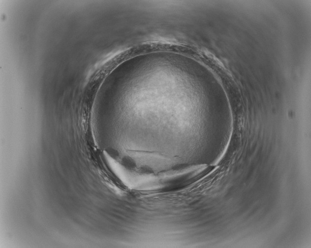 X0000087591303200705041459