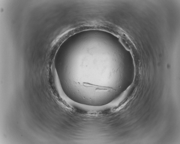 X0000087591304200705041459