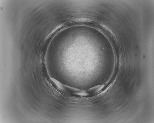 X0000087591305200705041459