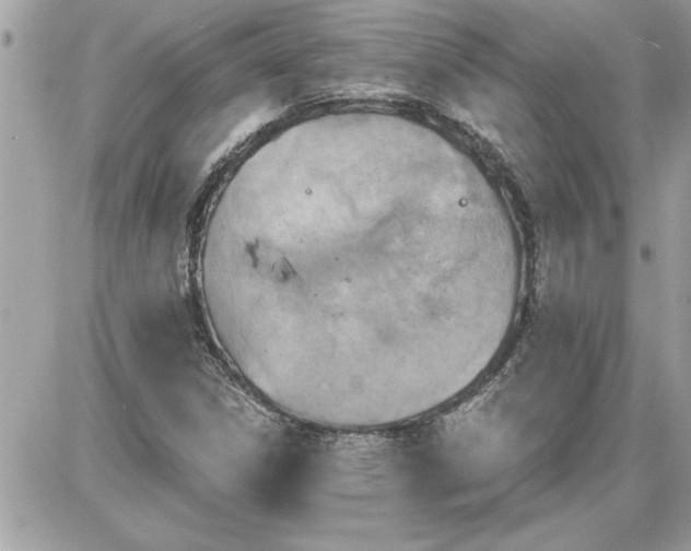 X0000087591306200705041459