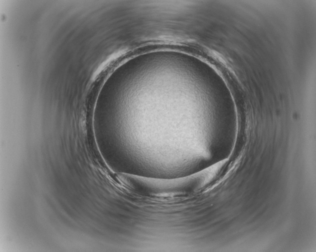 X0000087591307200705041459