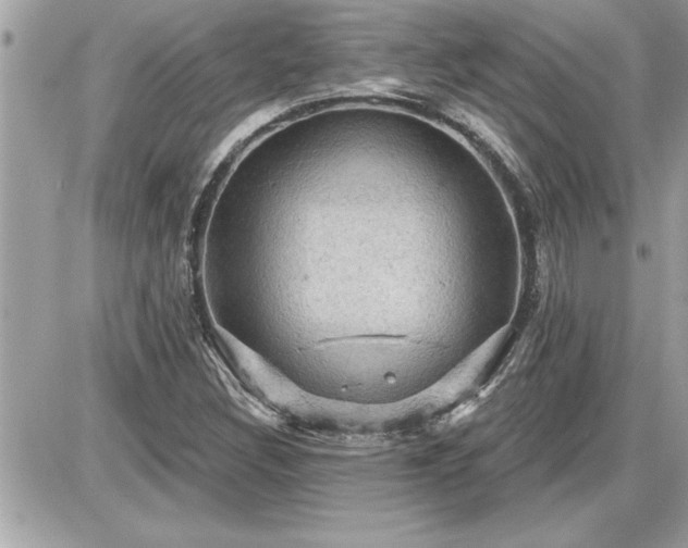 X0000087591308200705041459