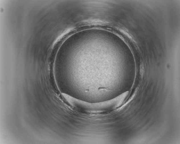 X0000087591309200705041459