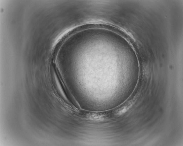 X0000087591311200705041459