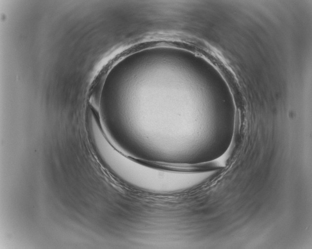 X0000087591312200705041459