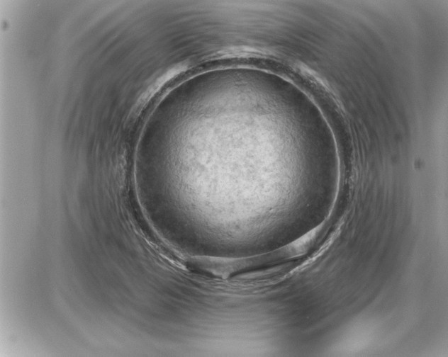 X0000087591313200705041459