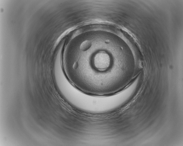 X0000087591314200705041459