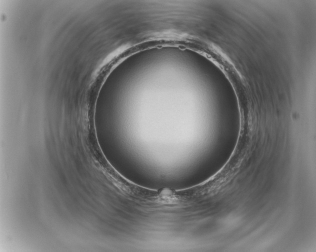 X0000087591315200705041459