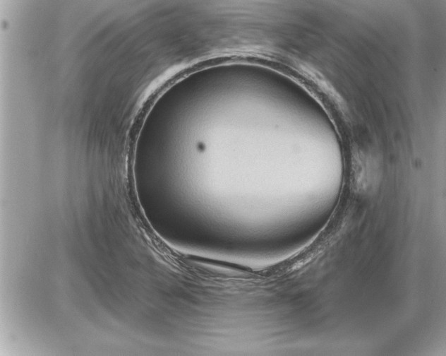 X0000087591316200705041459