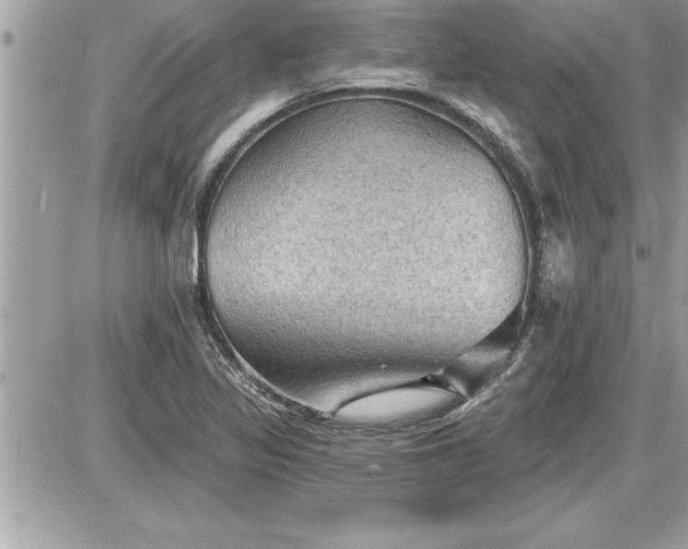 X0000087591317200705041459