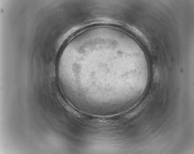 X0000087591318200705041459