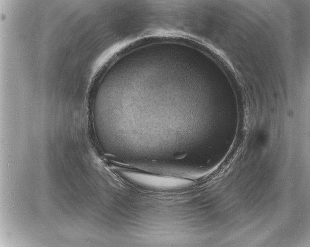 X0000087591319200705041459