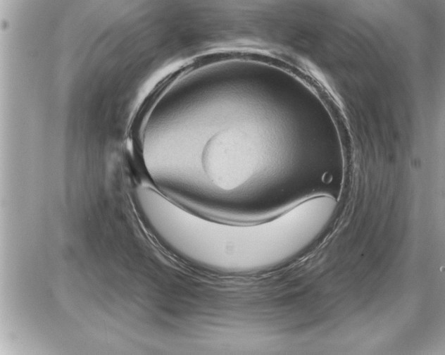 X0000087591320200705041459