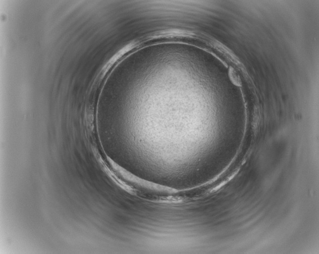 X0000087591321200705041459