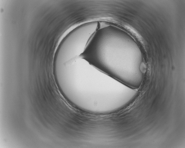 X0000087591324200705041459