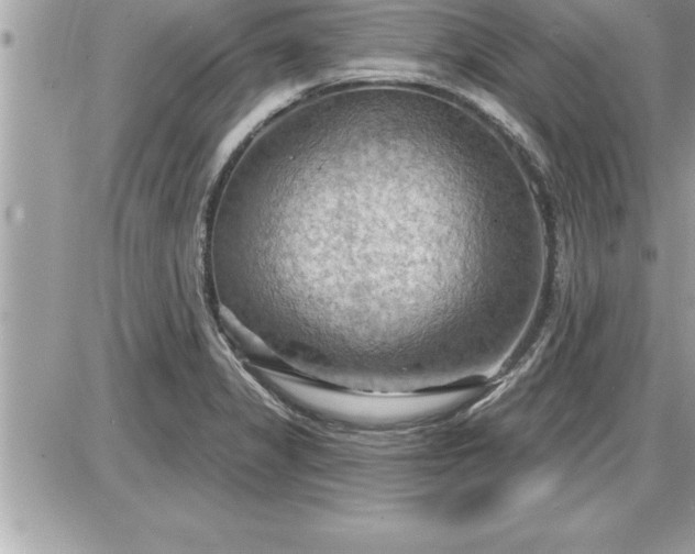 X0000087591325200705041459