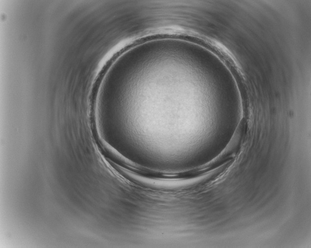 X0000087591326200705041459