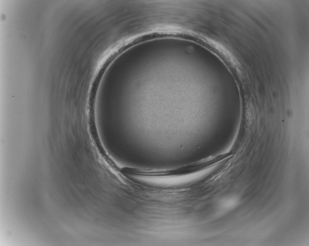 X0000087591327200705041459