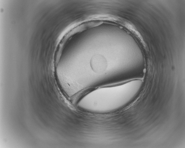 X0000087591328200705041459